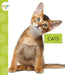 Cats by Mari C. Schuh