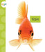 Fish by Mari C. Schuh