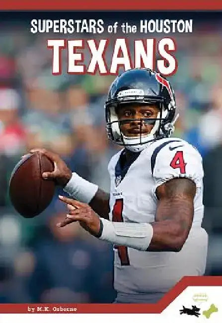 Superstars of the Houston Texans by Allan Morey