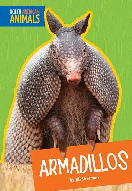 Armadillos by Jill Sherman