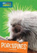 Porcupines by Jill Sherman