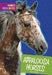 Appaloosa Horses by Cari Meister