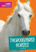 Thoroughbred Horses by Carl Meister