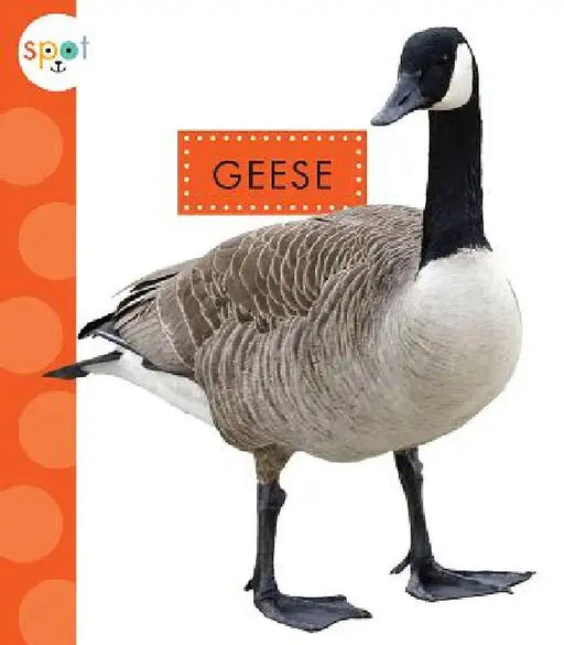 Geese by Mari C. Schuh