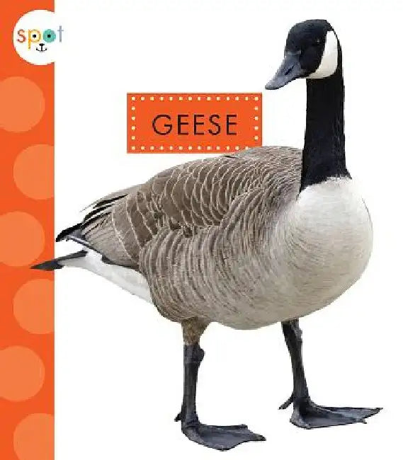 Geese by Mari C. Schuh