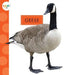 Geese by Mari C. Schuh