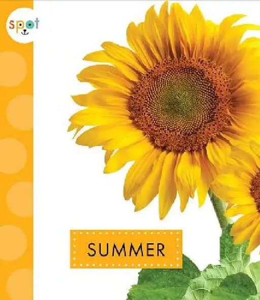 Summer by Mari C. Schuh