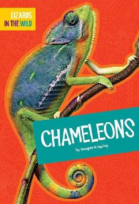 Chameleons by Imogen Kingsley