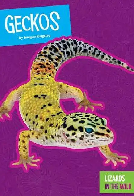 Geckos by Imogen Kingsley