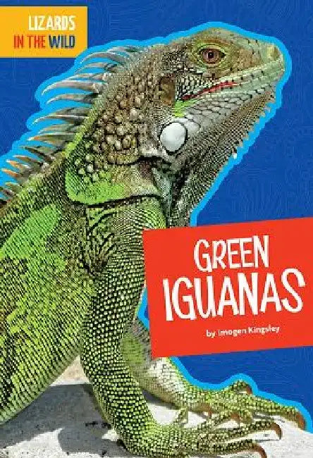 Green Iguanas by Imogen Kingsley