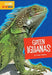 Green Iguanas by Imogen Kingsley