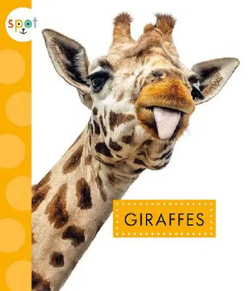 Giraffes by Mary Ellen Klukow