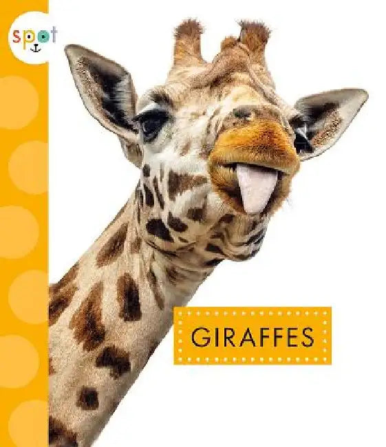 Giraffes by Mary Ellen Klukow