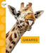 Giraffes by Mary Ellen Klukow