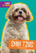 Shih Tzus by Mary Ellen Klukow