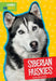 Siberian Huskies by Mary Ellen Klukow