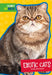 Exotic Cats by Mary Ellen Klukow