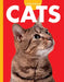 Curious about Cats by M. K. Osborne