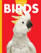Curious about Birds by Jill Sherman