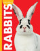 Curious about Rabbits by Jill Sherman