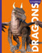 Curious about Dragons by Gina Kammer