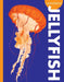Curious about Jellyfish by Annie C. Holdren