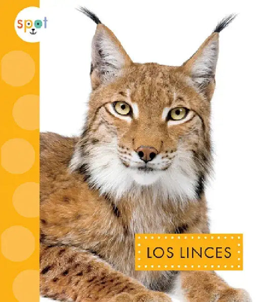 Los Linces by Alissa Thielges