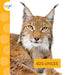 Los Linces by Alissa Thielges