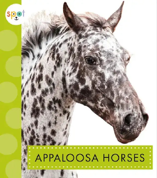 Appaloosa Horses by Alissa Thielges