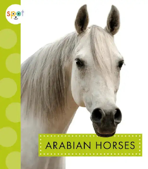 Arabian Horses by Alissa Thielges