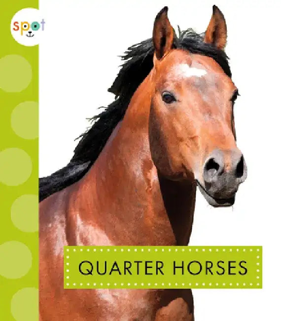 Quarter Horses by Alissa Thielges
