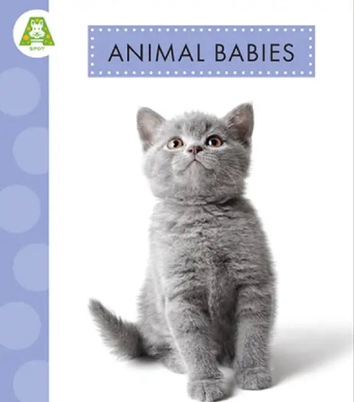 Animal Babies by Anastasia Suen
