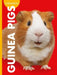 Curious about Guinea Pigs by Alissa Thielges