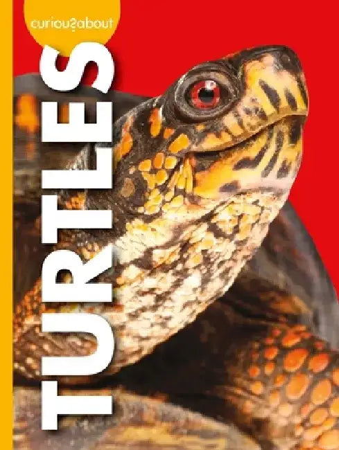 Curious about Turtles by Alissa Thielges