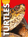 Curious about Turtles by Alissa Thielges