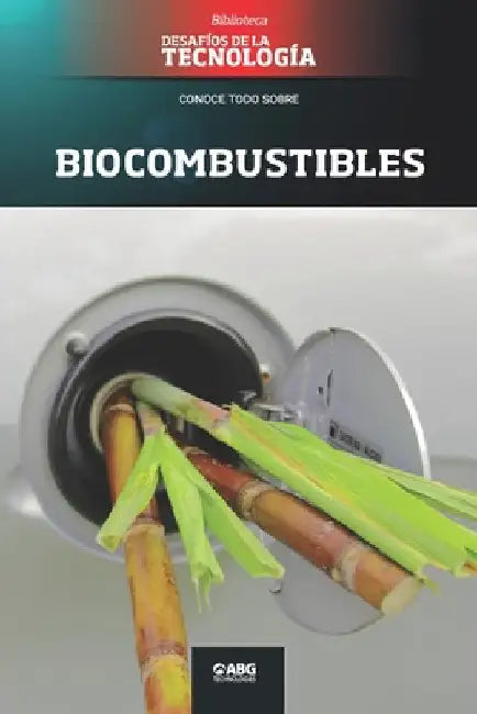 Biocombustibles: Proálcool y Flex by Technologies, Abg