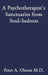 A Psychotherapist's Sanctuaries from Soul-Sadness by Peter A. Olsson