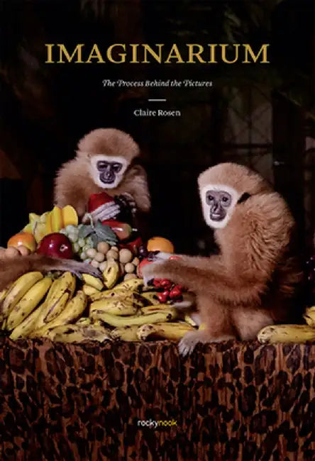 Imaginarium: The Process Behind the Pictures by Claire Rosen
