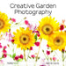 Creative Garden Photography: Making Great Photos of Flowers, Gardens, Landscapes, and the Beautiful World Around Us by Harold Davis