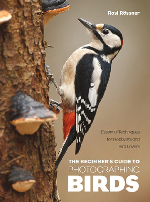 Photographing Birds: A Beginner's Guide for Hobbyists and Bird Lovers