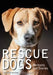 Rescue Dogs: Portraits and Stories by Susannah Maynard