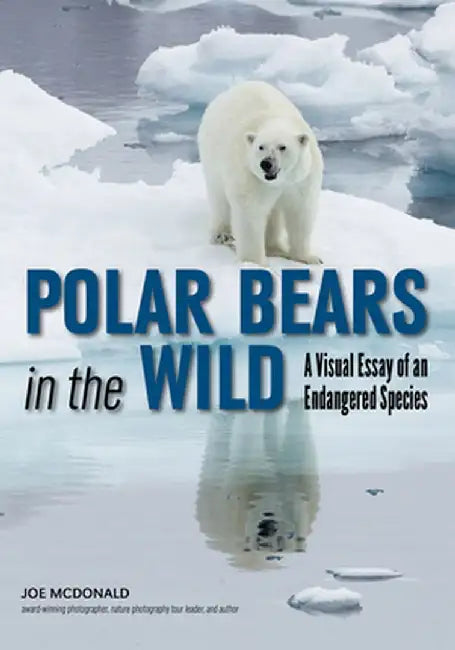 Polar Bears in the Wild: A Visual Tour by Joe McDonald