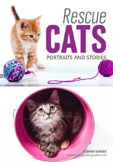 Rescue Cats: Portraits & Stories by Susannah Maynard