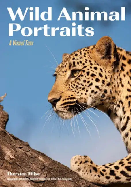 Wild Animal Portraits: A Visual Tour by Thorsten Milse