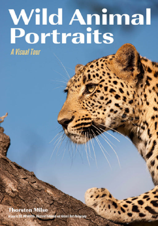 Wild Animal Portraits: A Visual Tour by Thorsten Milse