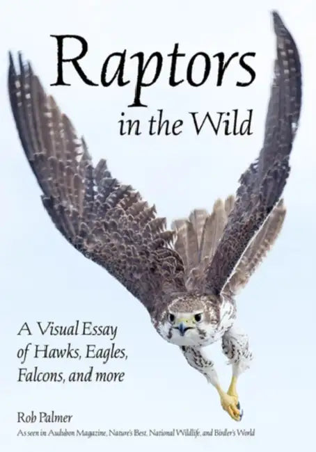 Raptors in the Wild: A Visual Essay of Hawks, Eagles, Falcons and More by Rob Palmer