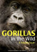 Gorillas in the Wild: A Visual Essay by Joe McDonald