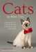 Cats in Bow Ties: Photographs & Rescue Stories of Shelter Cats with Style by Lindsi Jones