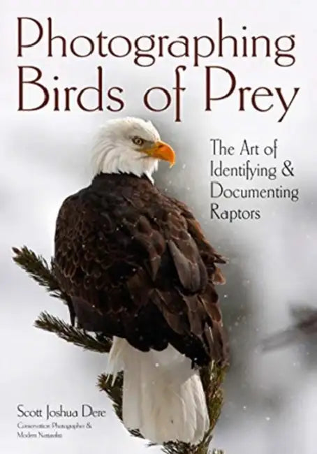 Photographing Birds of Prey: The Art of Identifying & Documenting Raptors by Scott Joshua Dere
