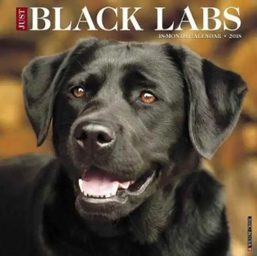 Just Black Labs 2018 Wall Calendar by No Author
